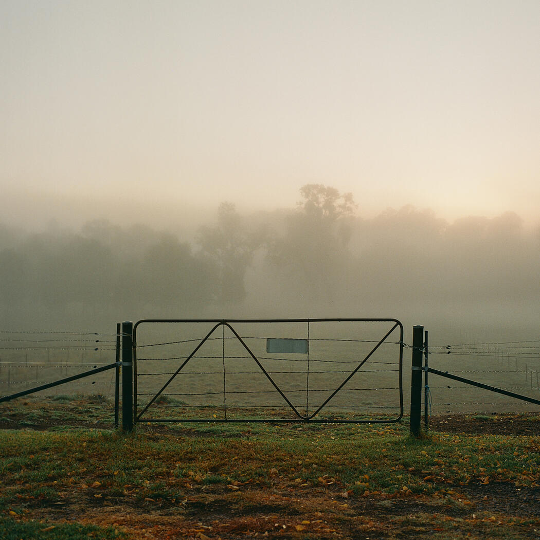 Woomagarma, NSW, 2025.