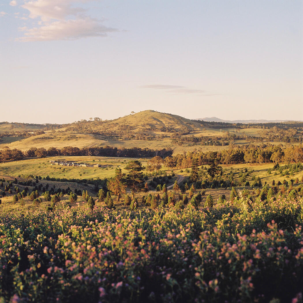 Canberra, ACT, 2024.